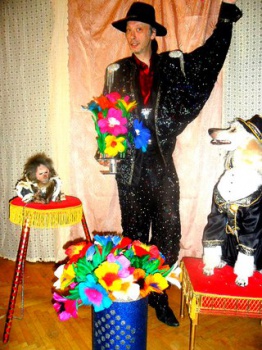 Шоу с животными