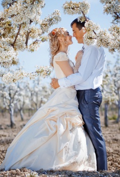 Компания "Большой папаша"