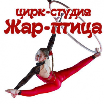 Артисты Студия воздушной гимнастики "Жар-птица" смотреть подробнее Артисты Студия воздушной гимнастики "Жар-птица"