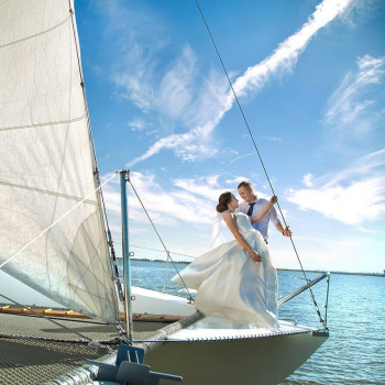 SIR смотреть подробнее SIR