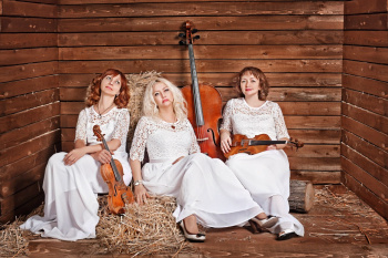 Fresh смотреть подробнее Fresh