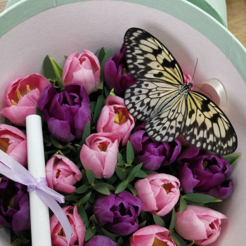 Махаон смотреть подробнее Махаон