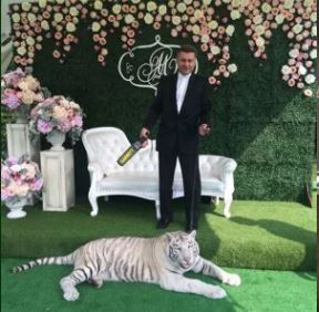 Фокусник-иллюзионист Черкасов Алексей смотреть подробнее Фокусник-иллюзионист Черкасов Алексей