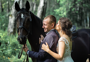 Конный клуб "Сосновый бор" смотреть подробнее Конный клуб "Сосновый бор"