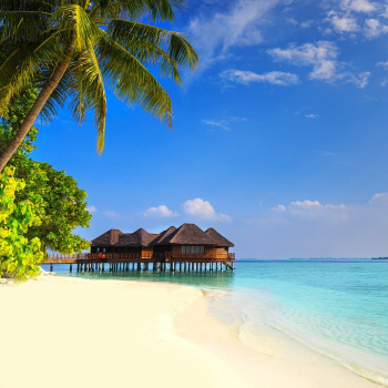 Лечу куда хочу