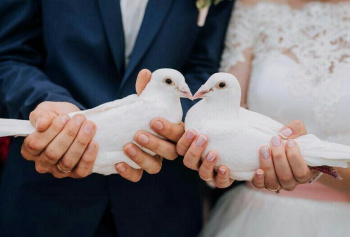 Голуби на свадьбу смотреть подробнее Голуби на свадьбу