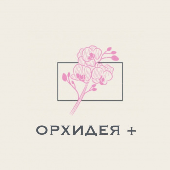 Орхидея+