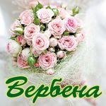 Салон цветов 